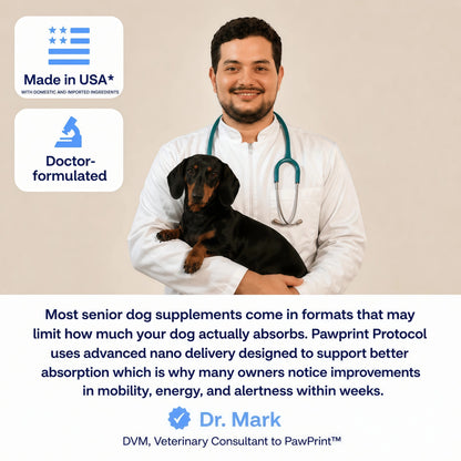 Dog Longevity Supplement NAD+ & NMN - Joint Health, Vitality & Healthy Aging - Nano liposomal Technology - Easy to Give Every Day - Better Absorption - Resveratrol - CoQ10