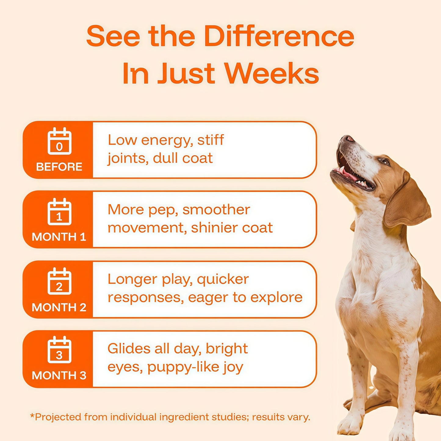Dog Longevity Supplement NAD+ & NMN - Joint Health, Vitality & Healthy Aging - Nano liposomal Technology - Easy to Give Every Day - Better Absorption - Resveratrol - CoQ10