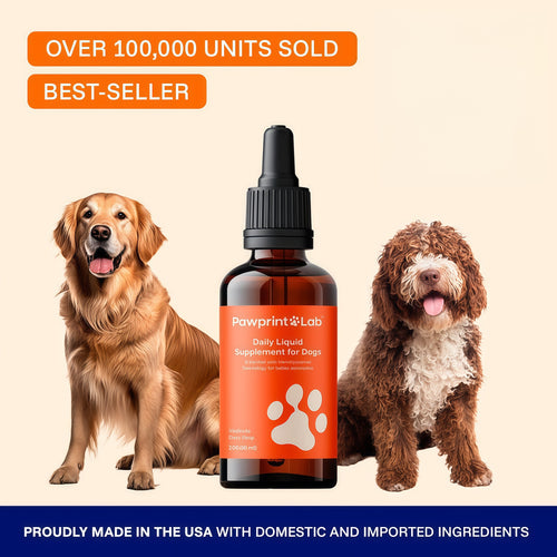 Dog Longevity Supplement NAD+ & NMN - Joint Health, Vitality & Healthy Aging - Nano liposomal Technology - Easy to Give Every Day - Better Absorption - Resveratrol - CoQ10